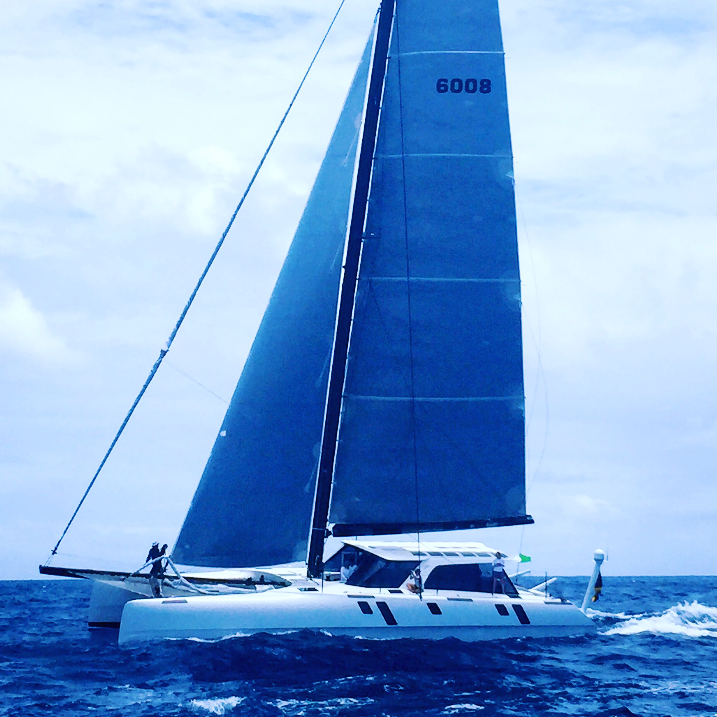 Momentum owned by Frederik Moe from Jamaica.