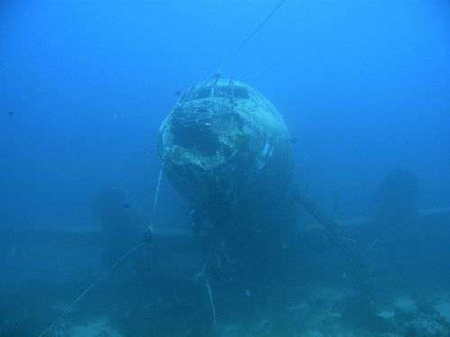 Aruba dive site