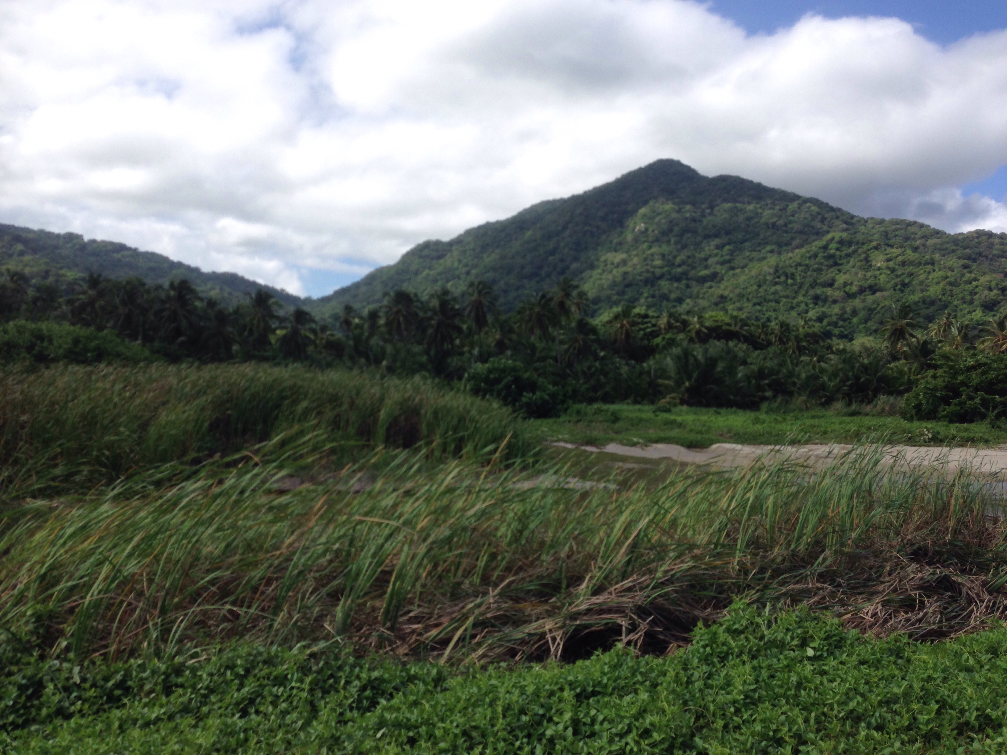 Hills across from the beach.