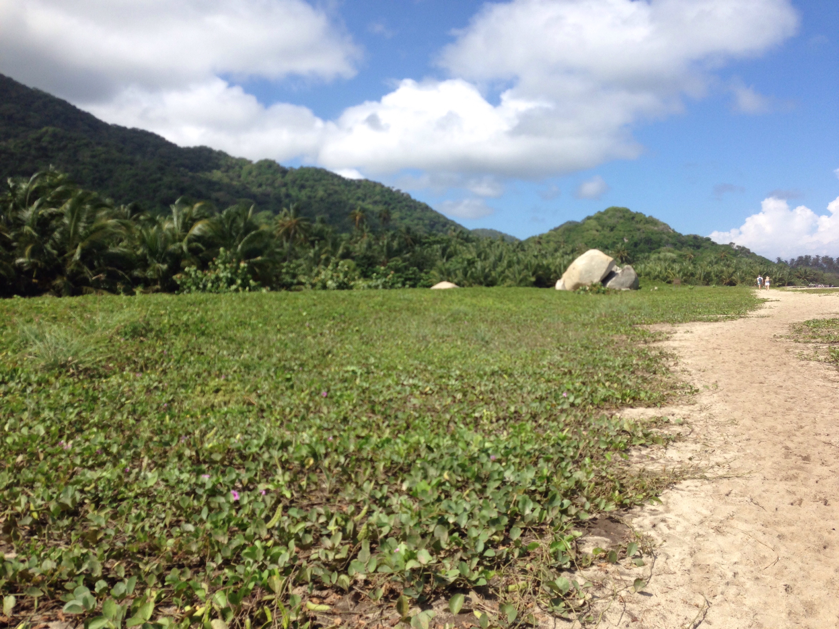 Path separating the beach and the mountains.