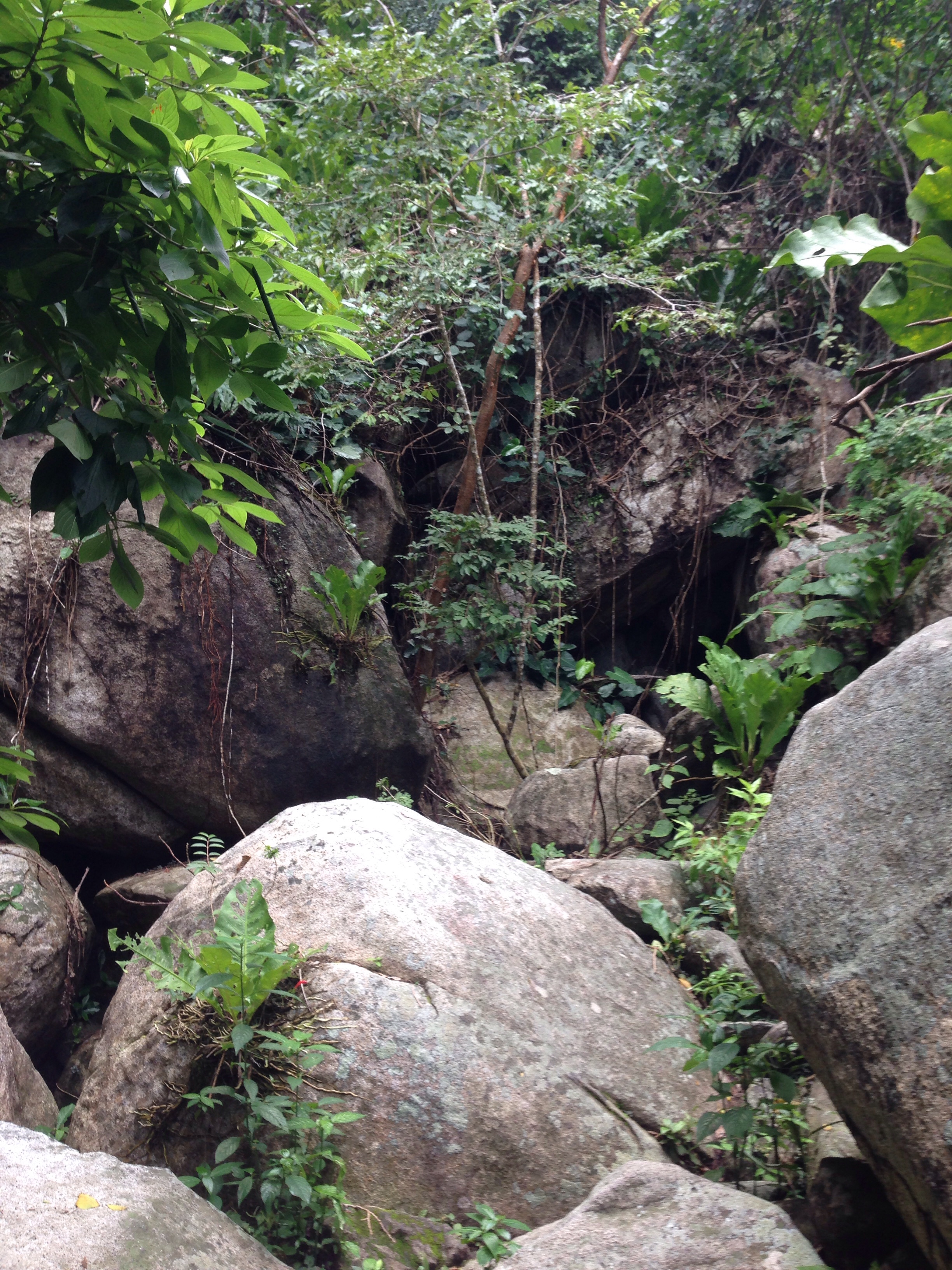 New terrain changed to a boulder hike.