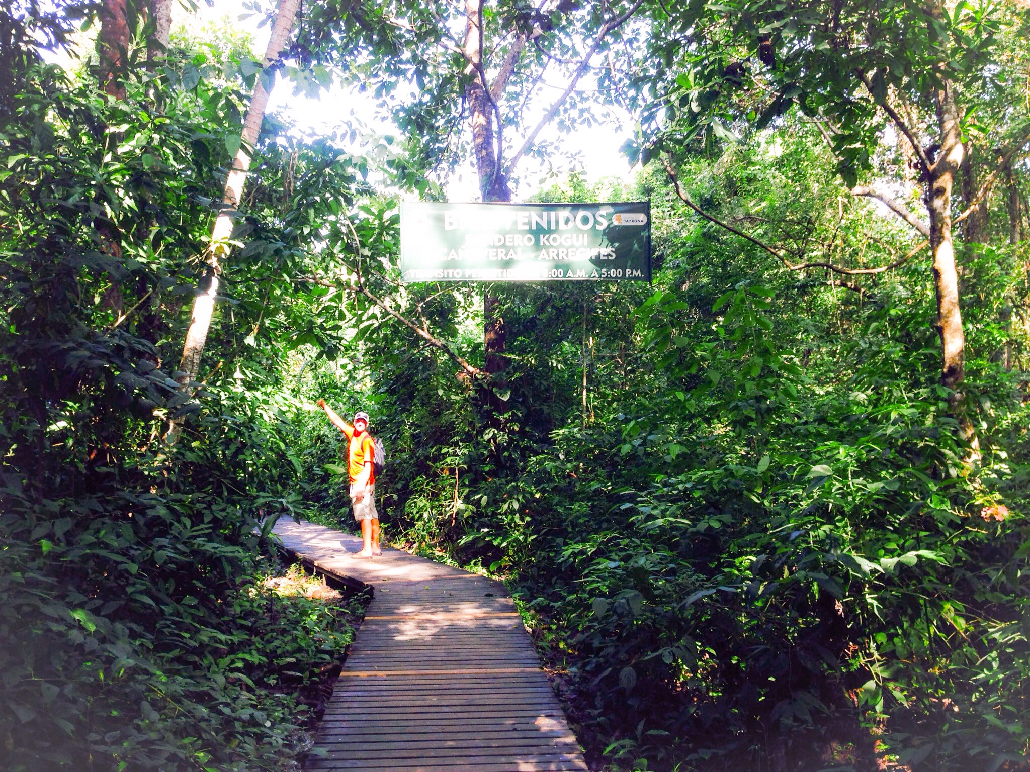 Super nice wood trail at the beginning of the hike.