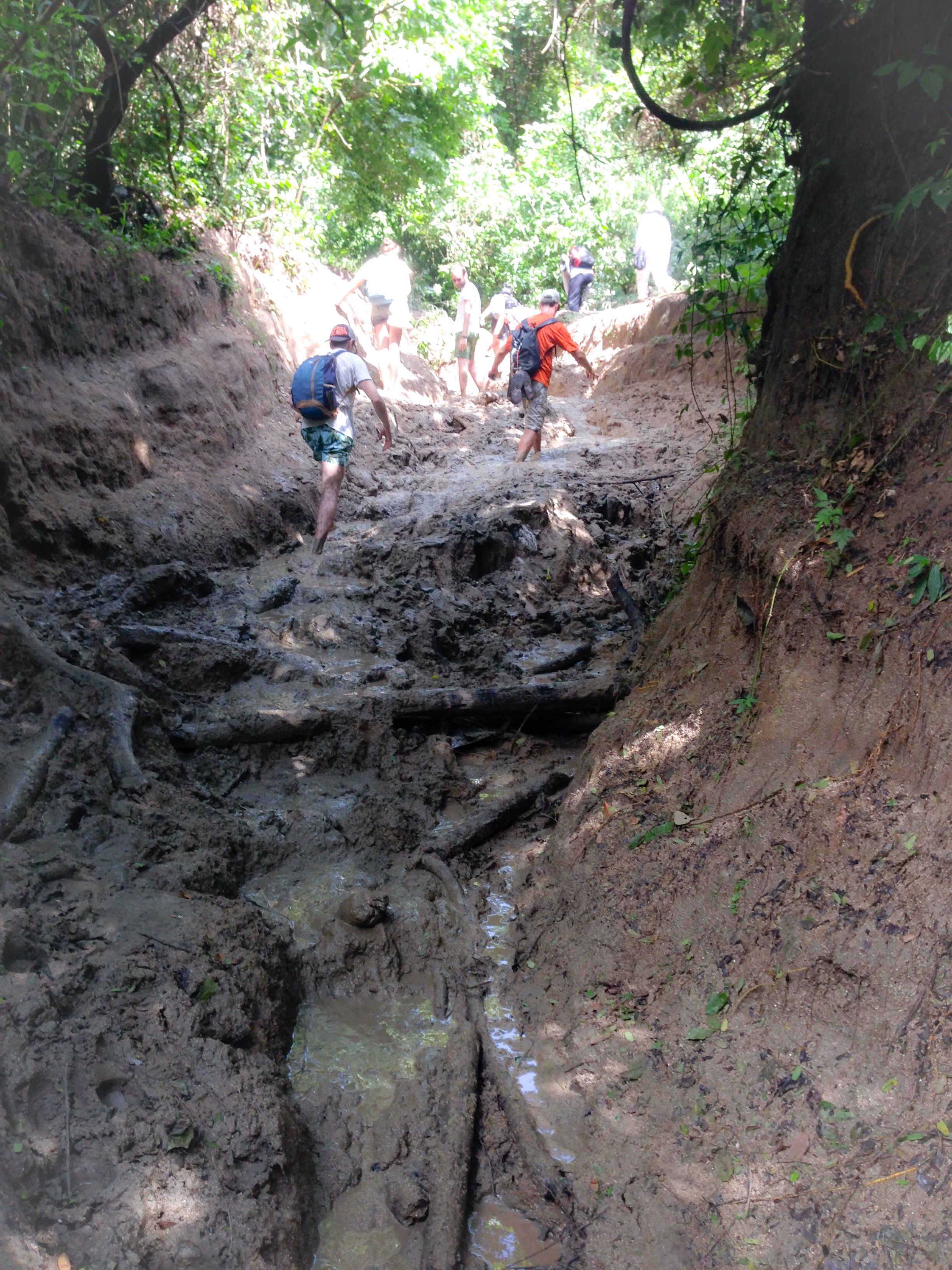 Fun muddy trail up the hill.