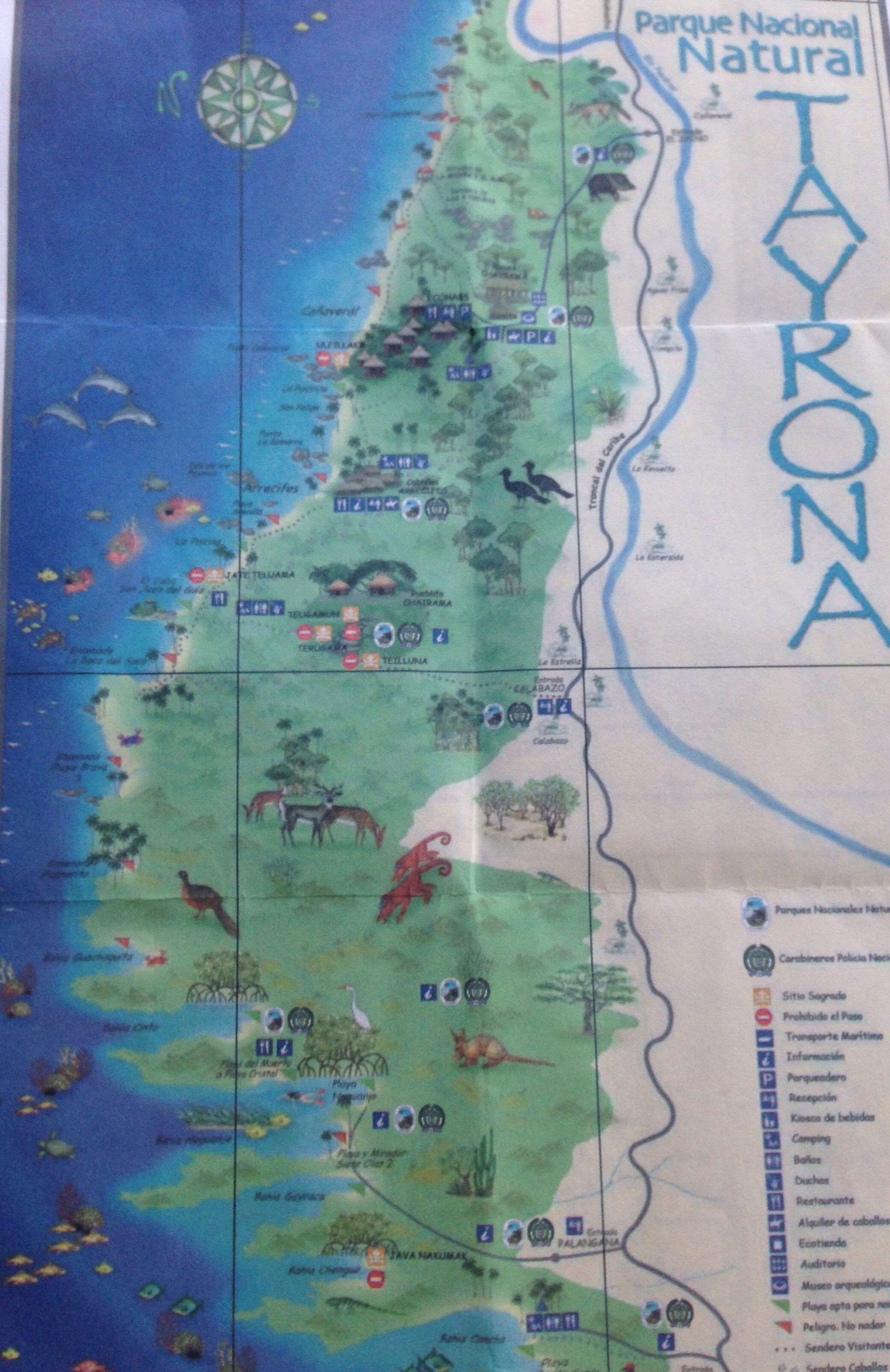 Hand held Tayrona Map with little information.