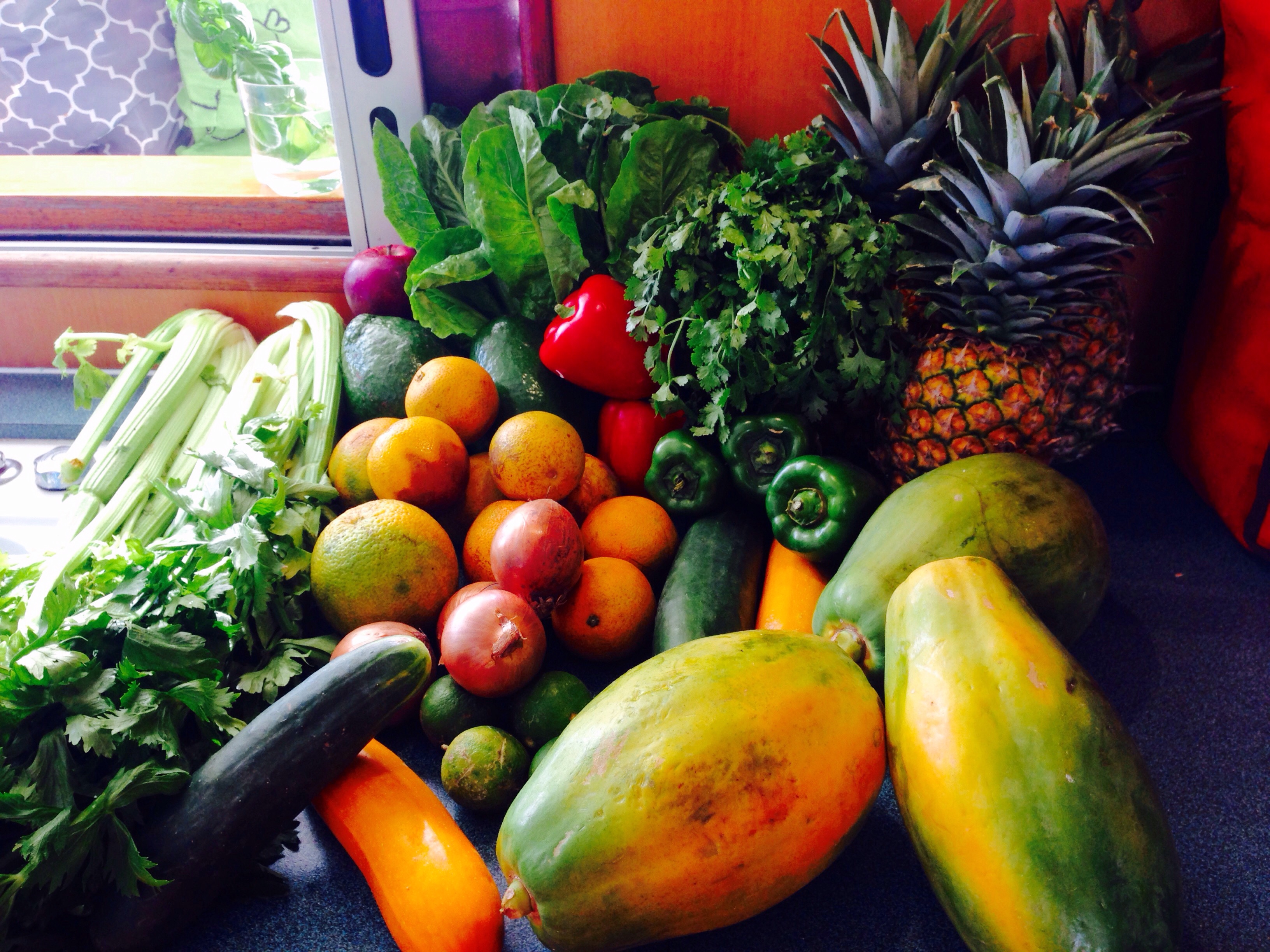 Fresh fruits and veggies from Colon, Panama
