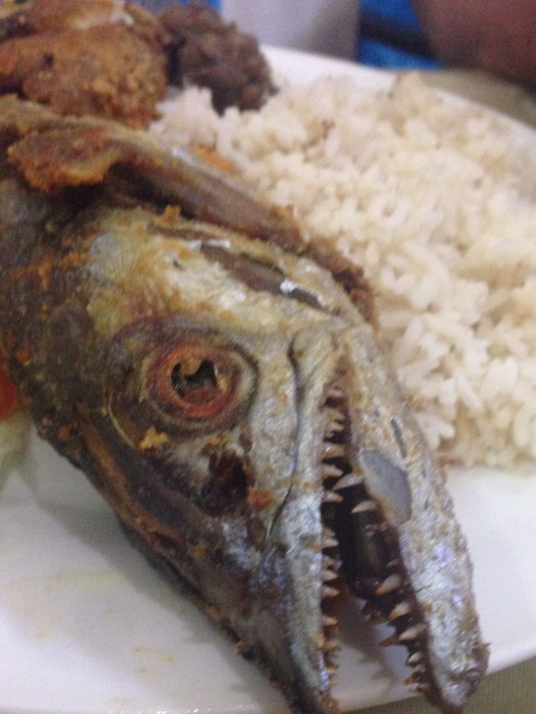 Lunch for Louis - Fish Head