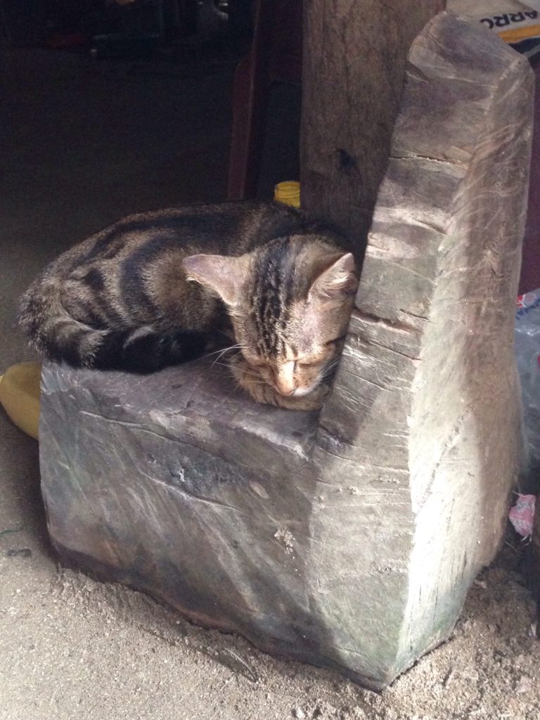 Not the most comfy chair, but the cat liked it
