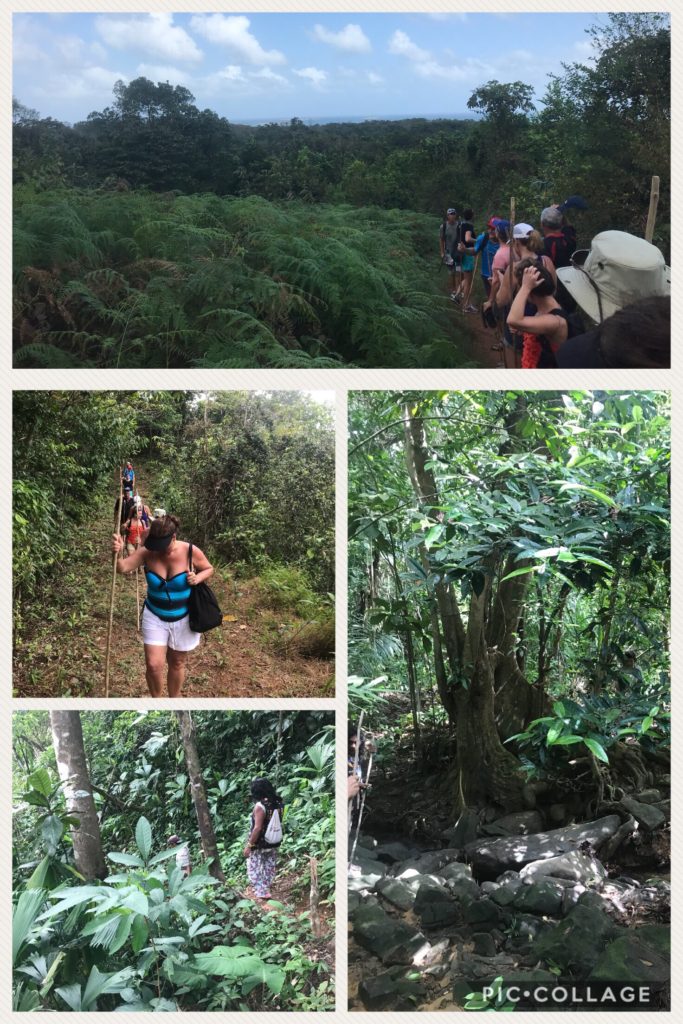 Kuna jungle hike up to the waterfalls.