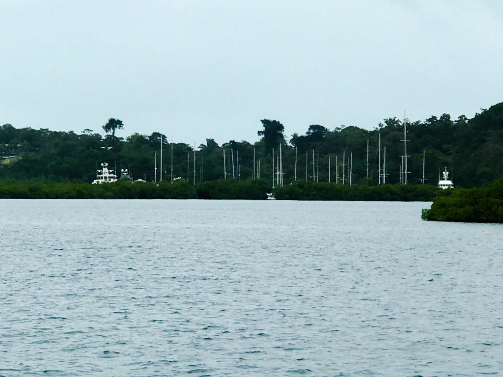 Red Frog Marina