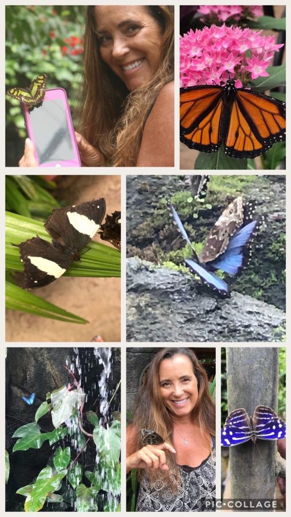 Butterflies surrounding me with joy