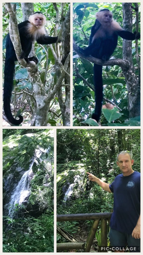 Waterfall and a few more monkeys