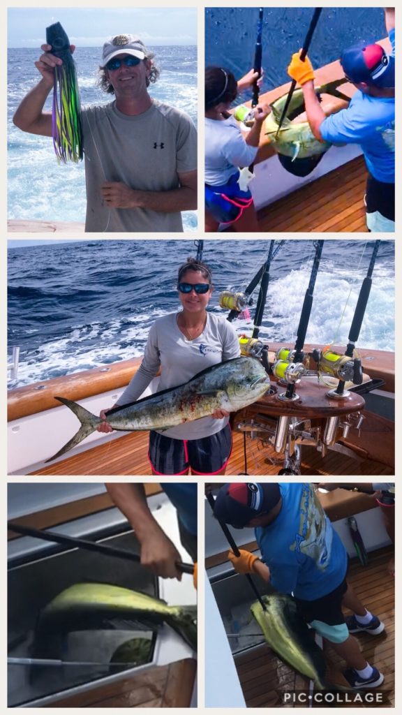 Mahi Mahi Dinner