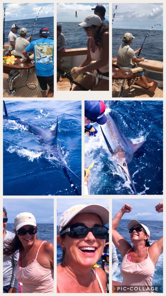 Blue Marlin Catch and Release