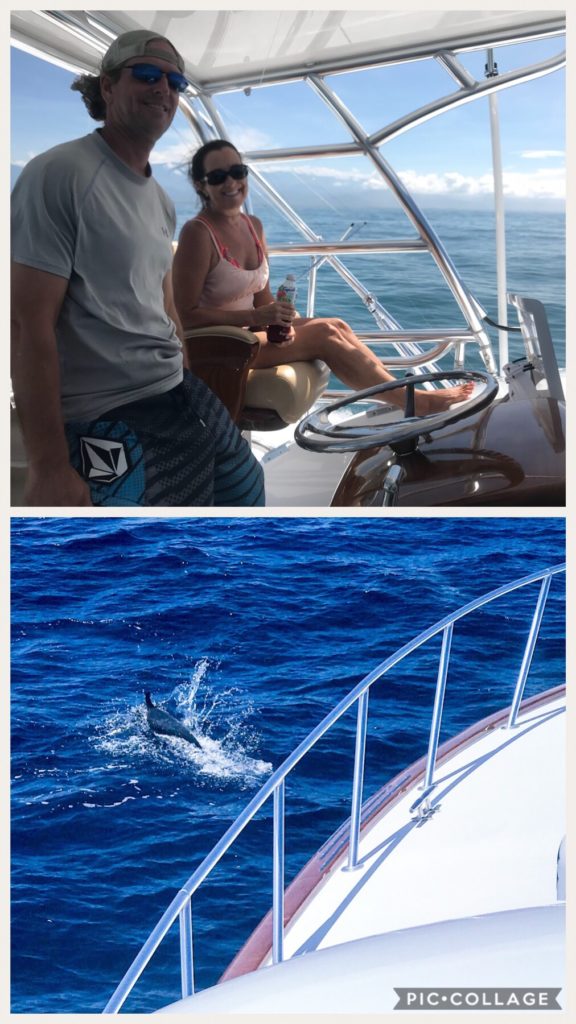 Dolphin Sighting