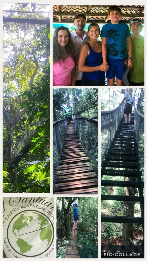Zipline Tours with airstairs, bridges, and more