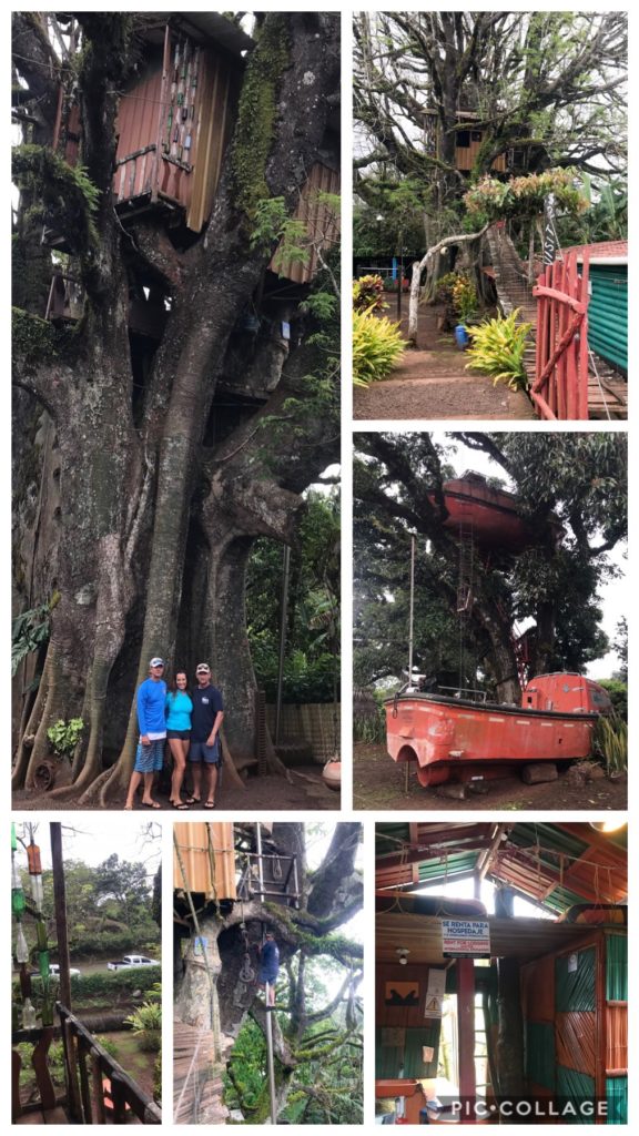 The Tree House - El Ciebo