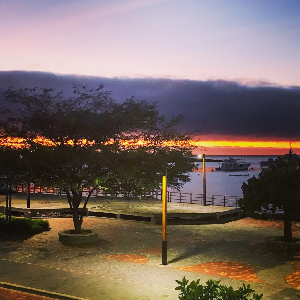 Sunset
