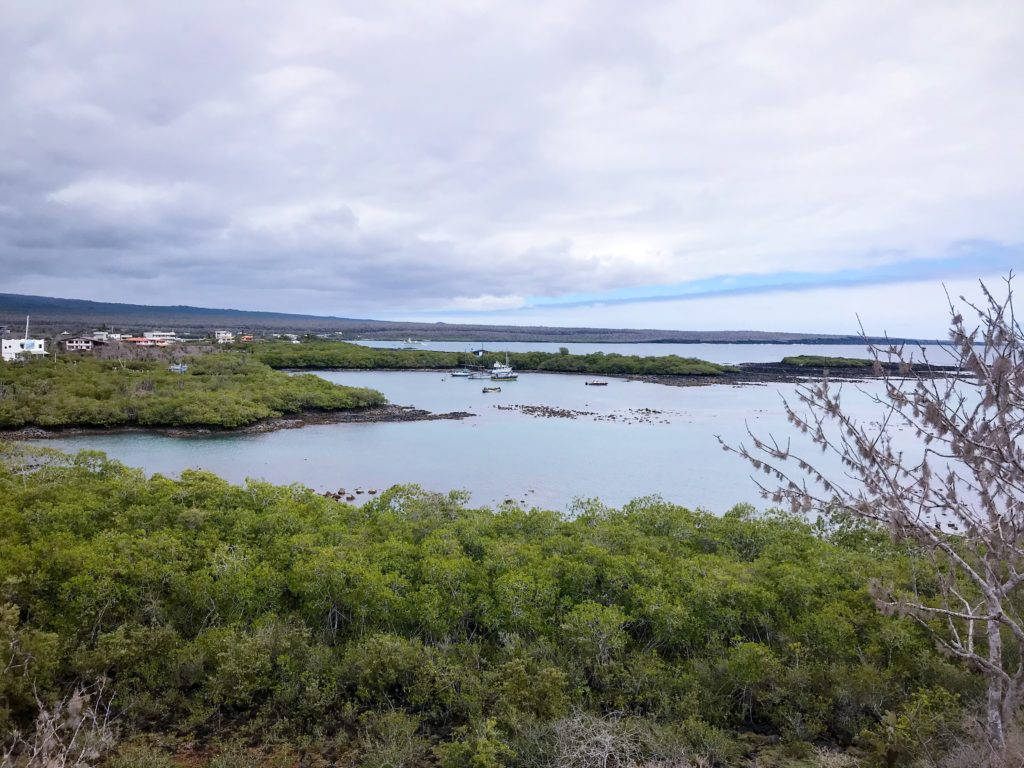 Pretty View from Las Grietas Trail