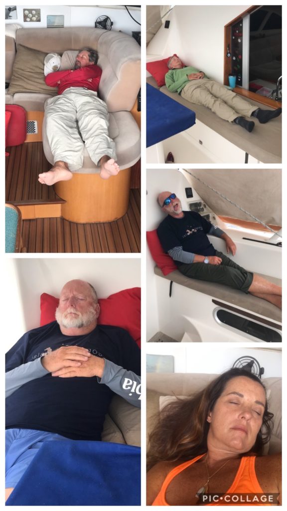 Nap, sleep, rest, repeat