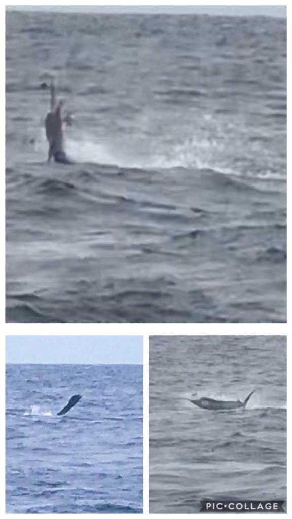Catch and release