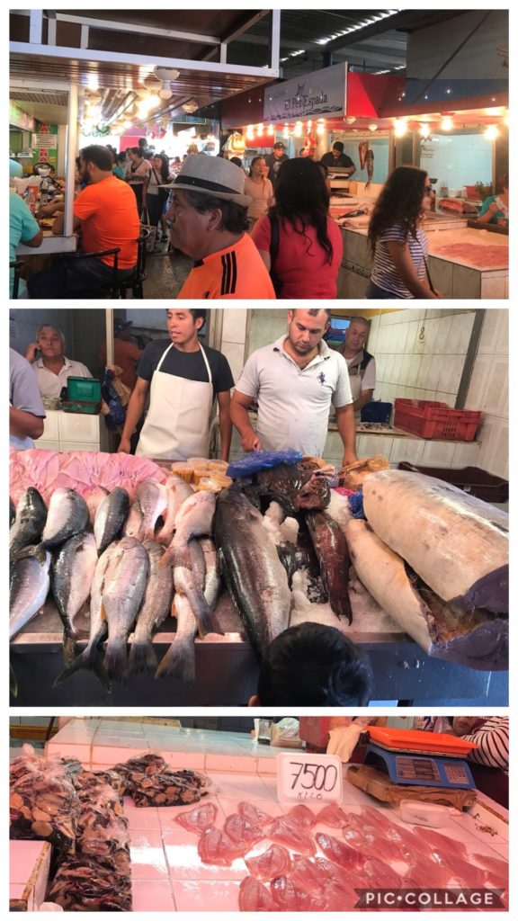 Fresh Meat Market Antofagasta