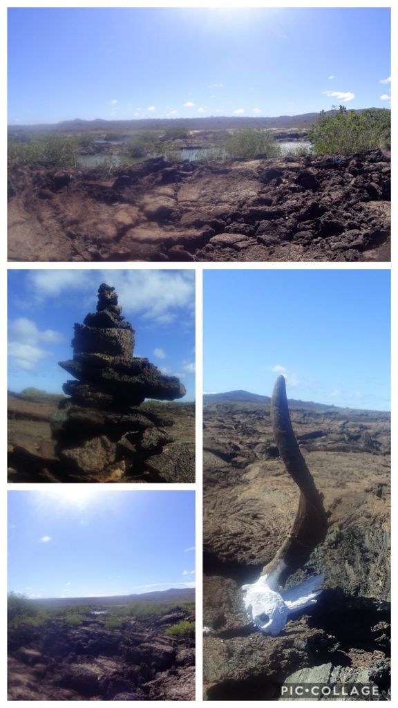 Lava Formations at Tortgua Beach