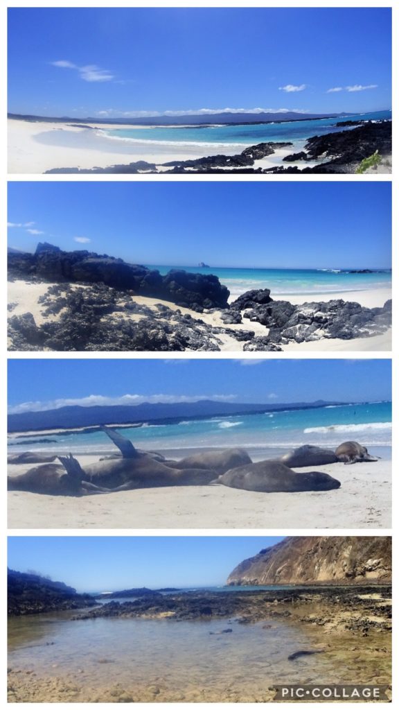 Cerro Brujo Beach Walk