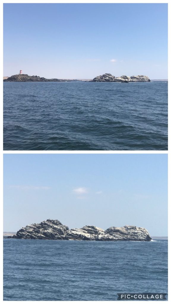 Rocky Chilean Coastline