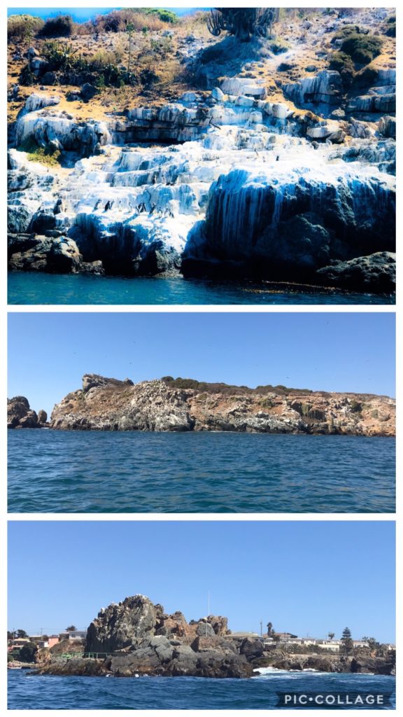 Isla Locos home of the birds