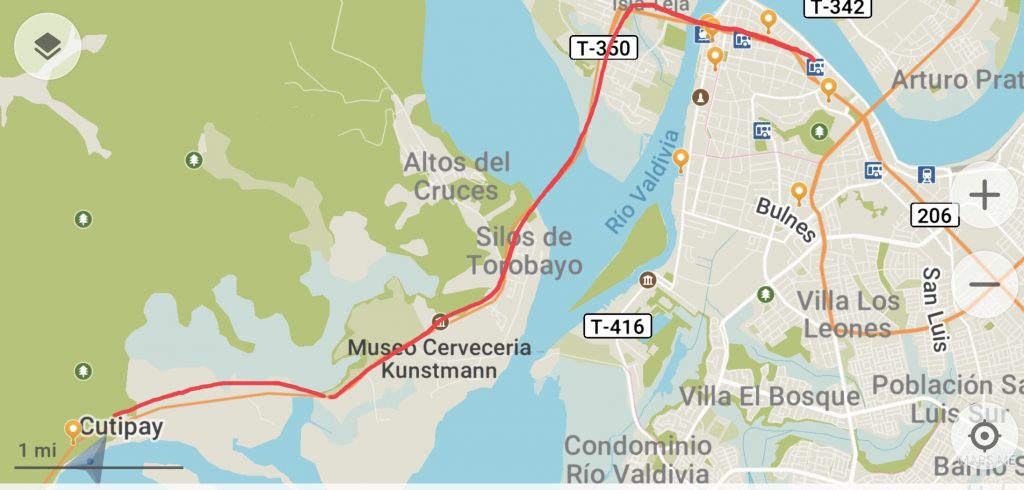 Bus route Marina to Downtown Valdivia