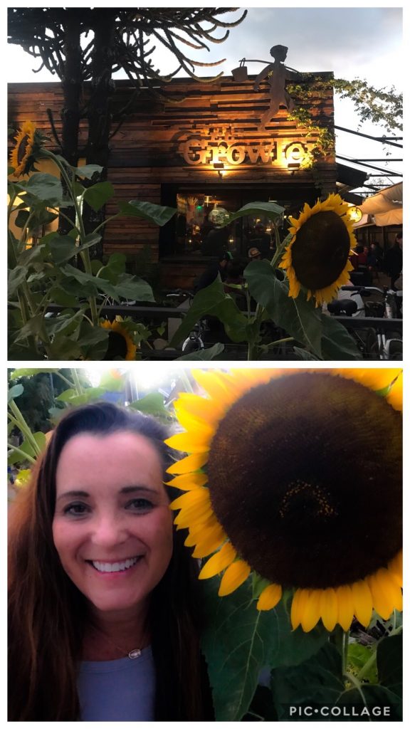 Fun eatery with large sunflowers