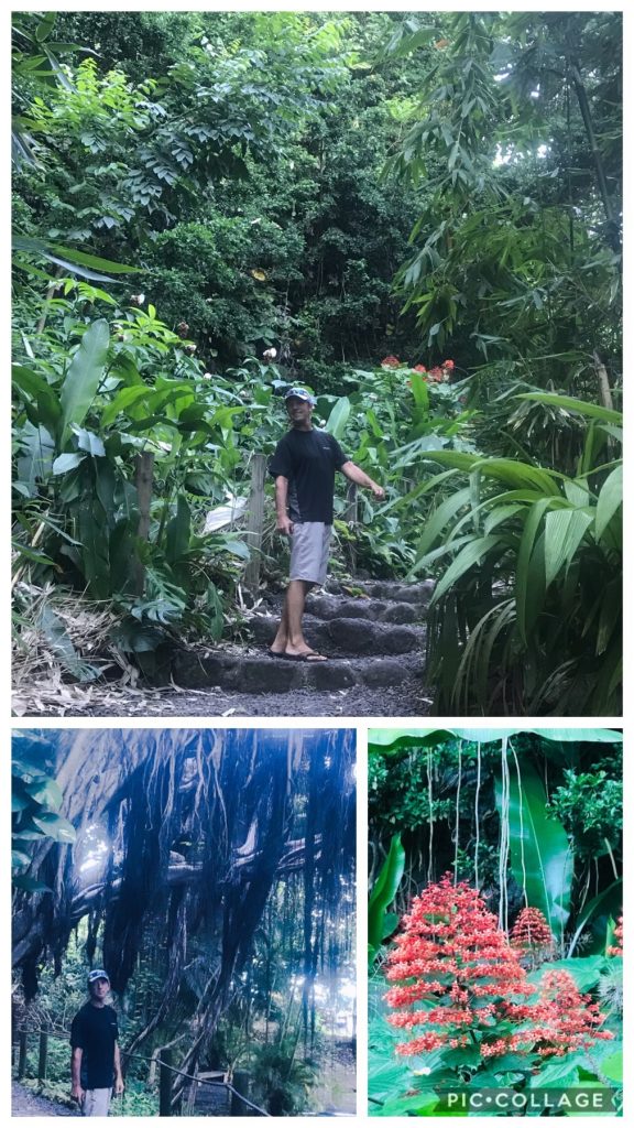 Grotes in Tahiti Walking Path