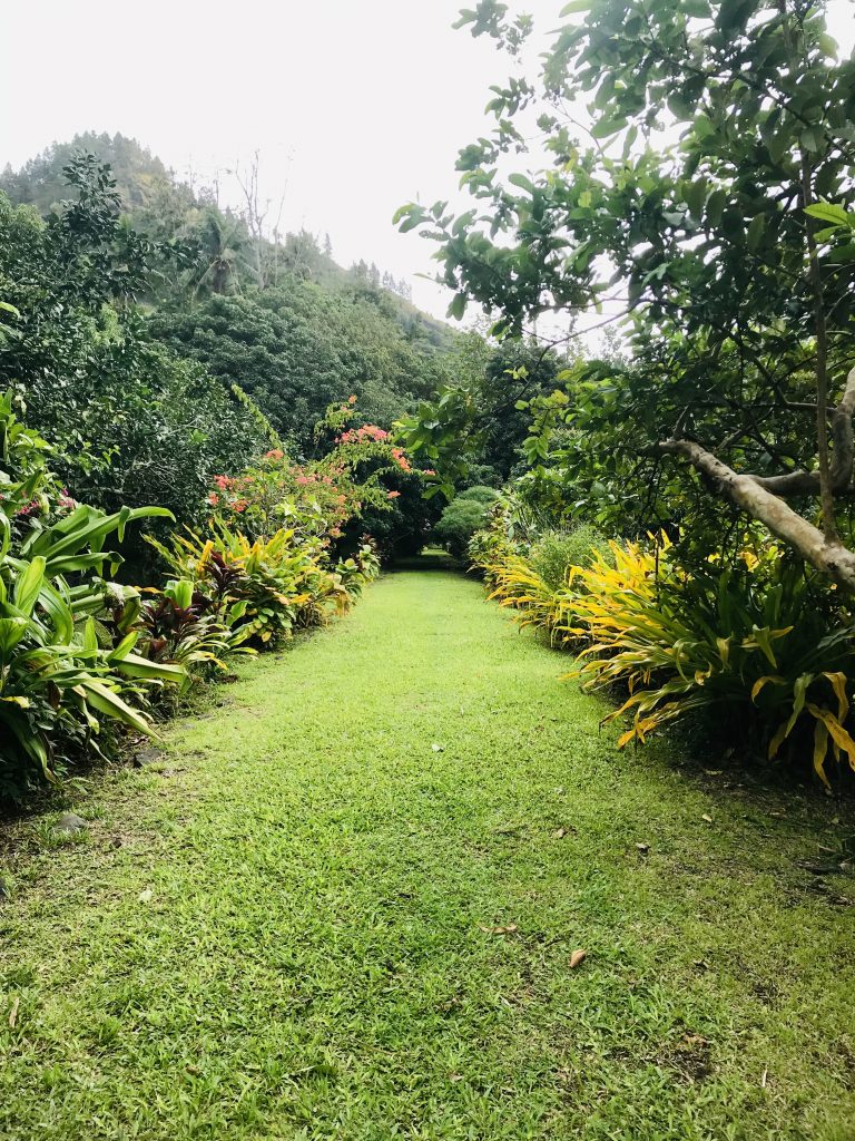 The only road on Taravai