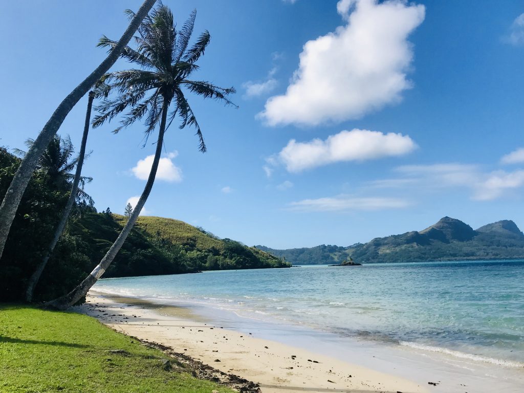 Herve, Valerie and Ariki's front yard