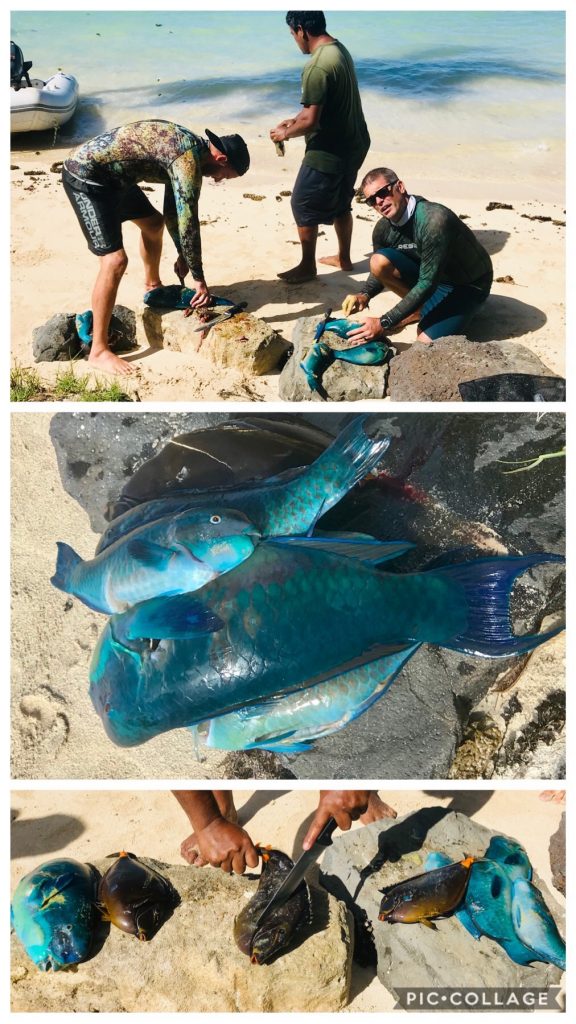 Spear Fishing with Herve
