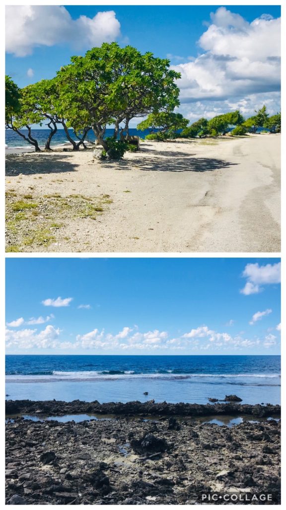 Main road and Pacific Ocean Shore in Hao