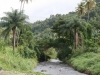 View of the Fresh water river